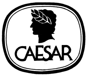 CAESAR logo