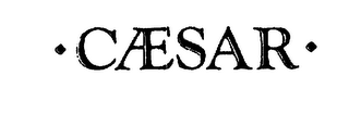 CAESAR logo