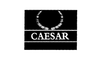 CAESAR logo