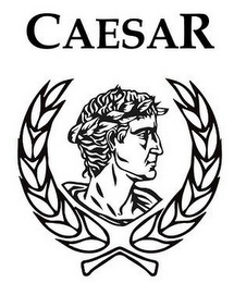 CAESAR logo