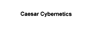 CAESAR CYBERNETICS logo