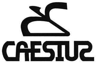 CAESIUS logo
