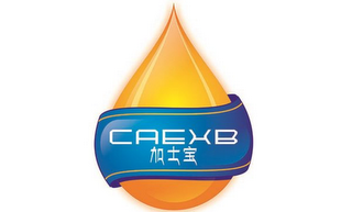 CAEXB logo