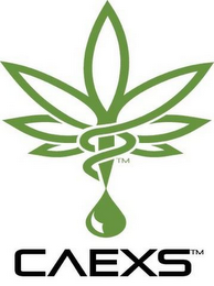CAEXS logo