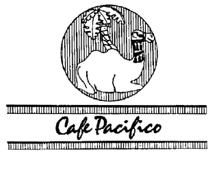 CAFE PACIFICO logo