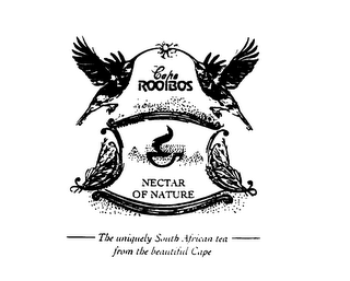 CAFE ROOIBOS NECTAR OF NATURE THE UNIQUELY SOUTH AFRICAN TEA FROM THE BEAUTIFUL CAPE logo