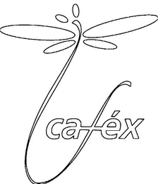 CAFÉX logo