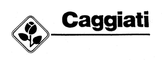 CAGGIATI logo