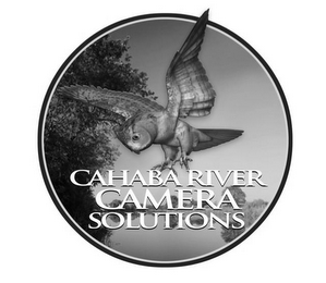 CAHABA RIVER CAMERA SOLUTIONS logo