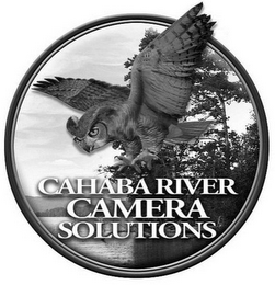 CAHABA RIVER CAMERA SOLUTIONS logo