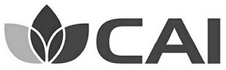 CAI logo