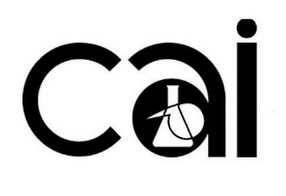 CAI logo
