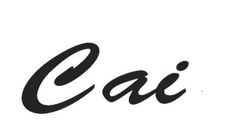 CAI logo
