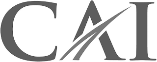 CAI logo
