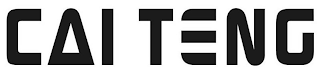 CAI TENG logo