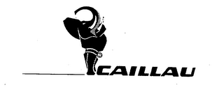 CAILLAU