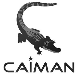 CAIMAN logo