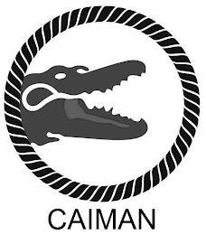 CAIMAN logo