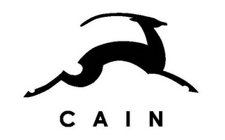 CAIN logo