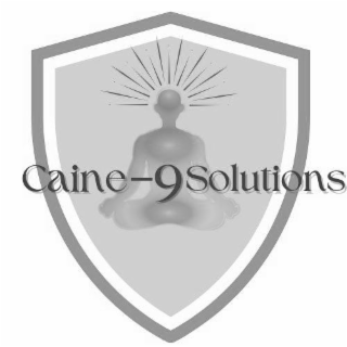 CAINE-9 SOLUTIONS logo