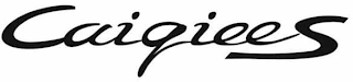 CAIQIEES logo