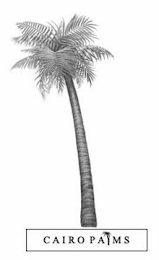 CAIRO PALMS logo