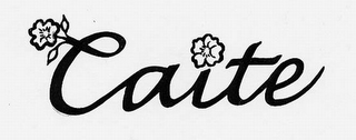 CAITE logo