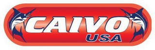 CAIVO USA logo