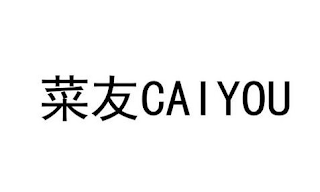 CAIYOU logo