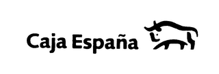CAJA ESPANA logo