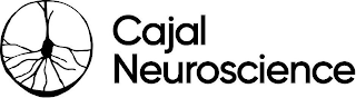 CAJAL NEUROSCIENCE logo