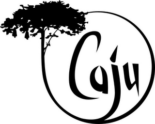 CAJU logo