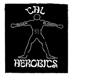 CAL AEROBICS logo