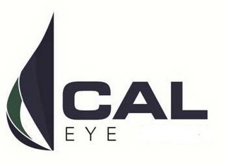 CAL EYE logo