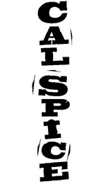 CAL SPICE logo