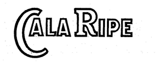 CALARIPE logo