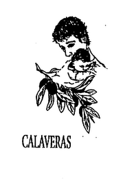 CALAVERAS logo