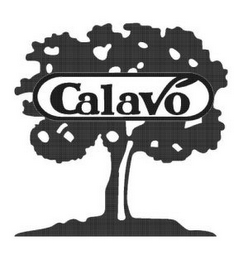CALAVO logo