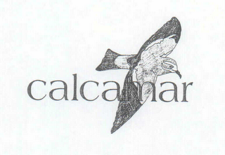 CALCAMAR logo