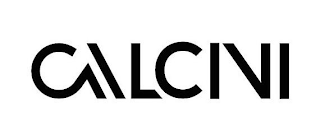 CALCINI logo