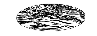 CALCIUM SPRINGS MINERAL SPRING WATER logo