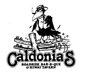 CALDONIA'S ROADSIDE BAR-B-QUE & HIGHWAY TAVERN logo