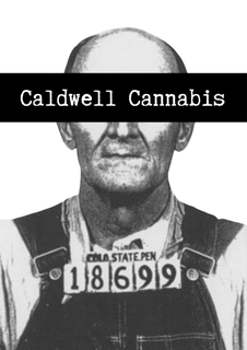 CALDWELL CANNABIS COLO STATE PEN 18699 logo