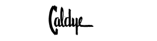CALDYE logo