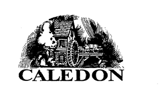 CALEDON logo