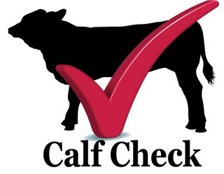 CALF CHECK logo