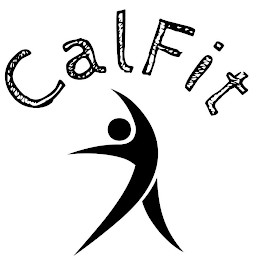 CALFIT logo