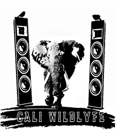 CALI WILDLYFE logo