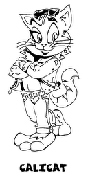 CALICAT logo