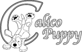 CALICO PUPPY logo